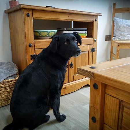 Sennen Cove Retreat Apartman Kültér fotó