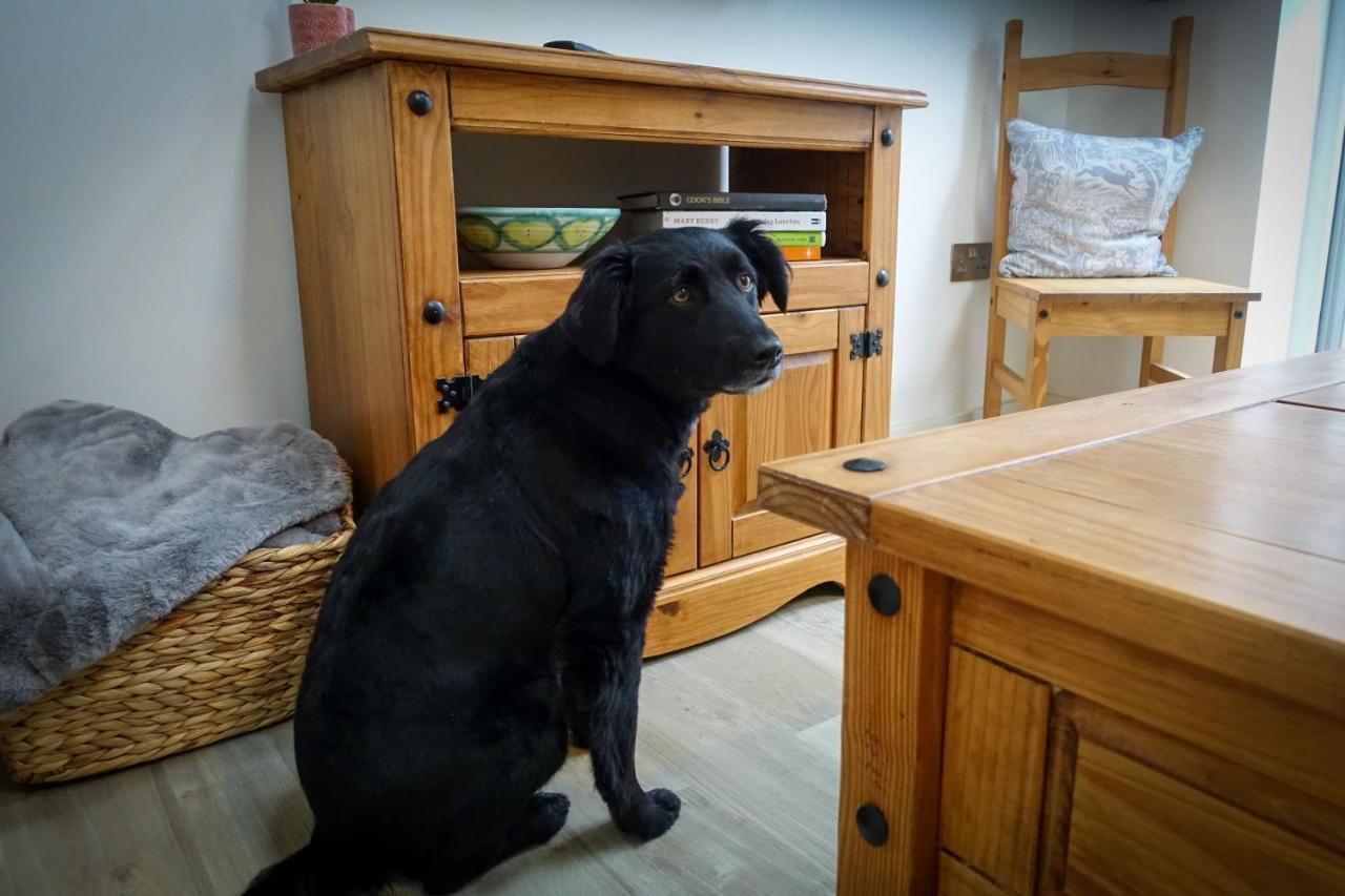 Sennen Cove Retreat Apartman Kültér fotó